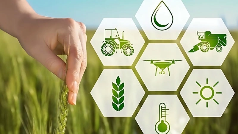 Các phương pháp thực hành hiệu quả