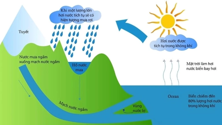 Chu trình nước và vai trò đối với sự sống trên Trái Đất