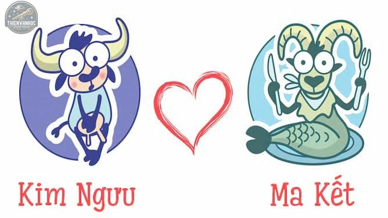 cung ma kết hợp với cung nào - 7 cung ma kết hợp với cung nào - 7