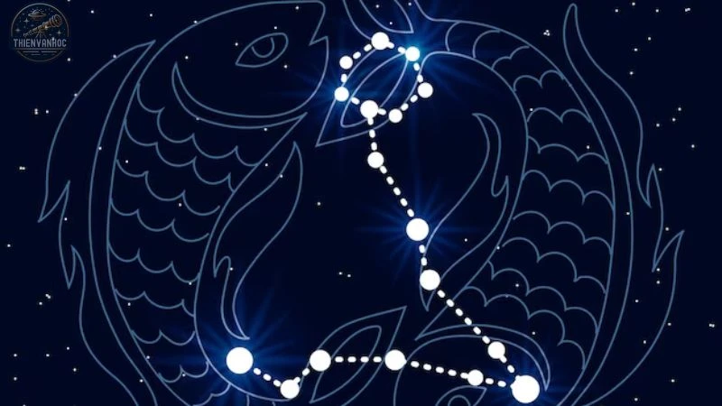 cung Song Ngư hợp với cung nào - 15 cung Song Ngư hợp với cung nào - 15