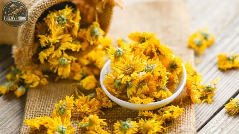 Cung Xử Nữ - 16 Cung Xử Nữ - 16