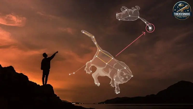 Điều gì khiến sao Bắc Đẩu trở nên đặc biệt? Điều gì khiến sao Bắc Đẩu trở nên đặc biệt?