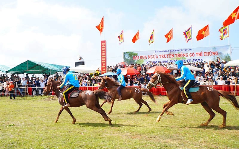 Hướng dẫn tham gia cá cược đua ngựa nhanh chóng 
