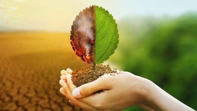 Nguyên nhân chính gây áp lực lên môi trường tự nhiên