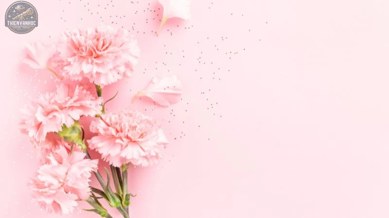 Những loài hoa may mắn của 12 cung hoàng đạo - 10 Những loài hoa may mắn của 12 cung hoàng đạo - 10