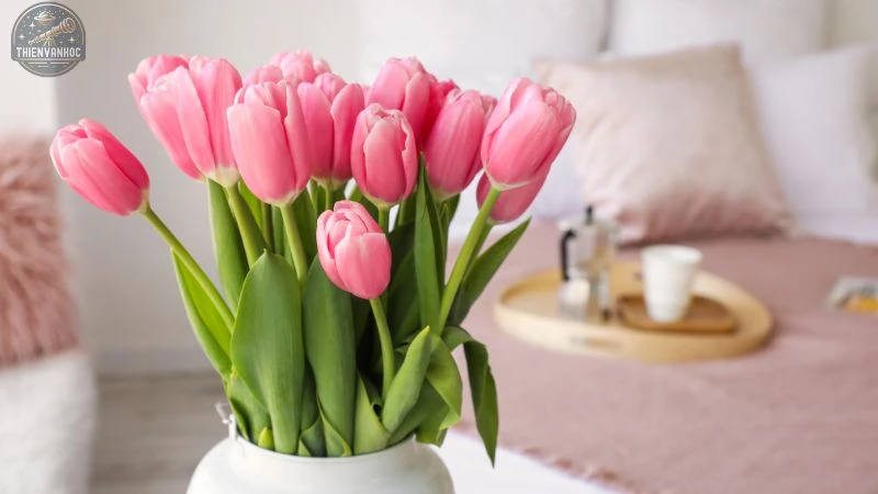 Những loài hoa may mắn của 12 cung hoàng đạo - 2 Những loài hoa may mắn của 12 cung hoàng đạo - 2