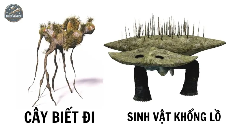 Những sinh vật ngoài hành tinh có thể trông như thế nào? Những sinh vật ngoài hành tinh có thể trông như thế nào?