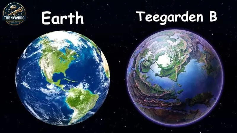 Teegarden B Teegarden B