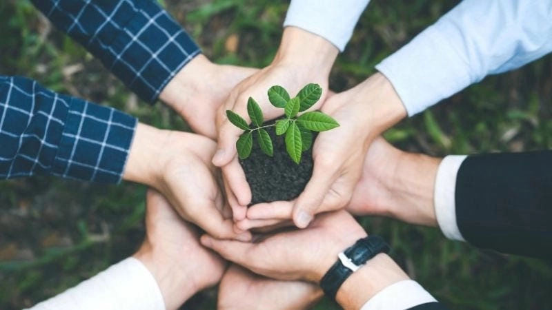 Vai trò của giáo dục môi trường trong đời sống hàng ngày